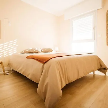 Le Dauphin : Piscine Et 50 M A Pied De La Appartement *